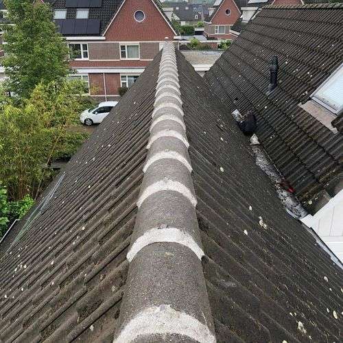 Dakinspectie Dongen aan de nokvorsten